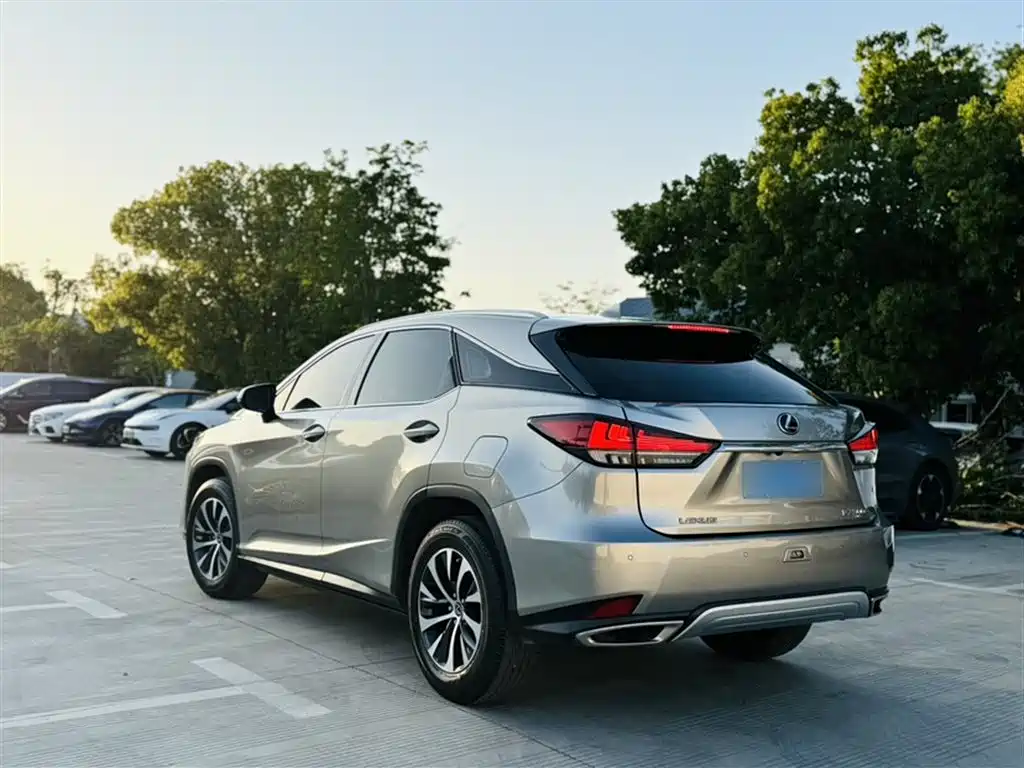 Lexus RX 2020 Facelift 300 2WD Elite Edition фото 13