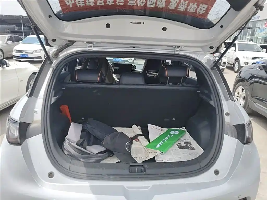 BYD Dolphin 2021 Model 405km Fashion Edition фото 19