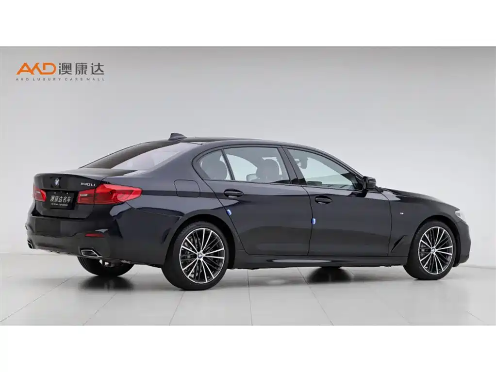BMW 5 Series 2019 Facelift 530Li Premium M Sport Package фото 3