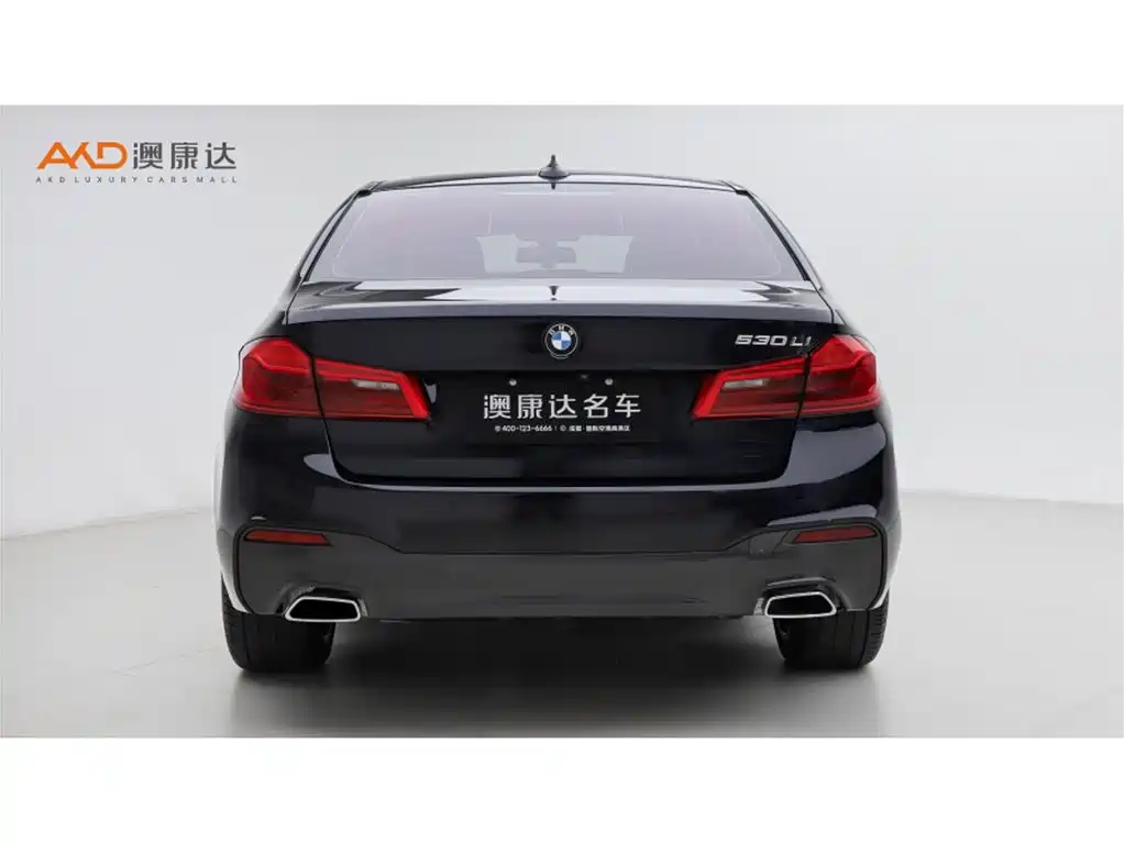 BMW 5 Series 2019 Facelift 530Li Premium M Sport Package фото 4