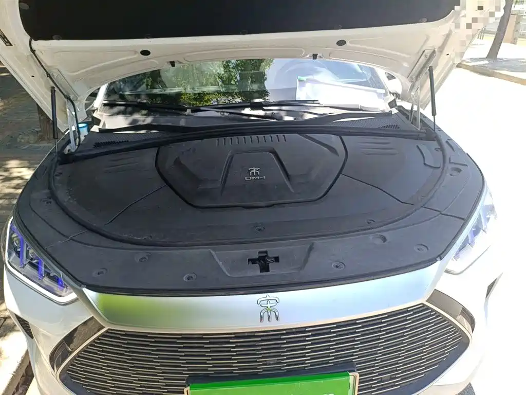 BYD Song PLUS PHEV 2021 DM-i 51KM Honor фото 11