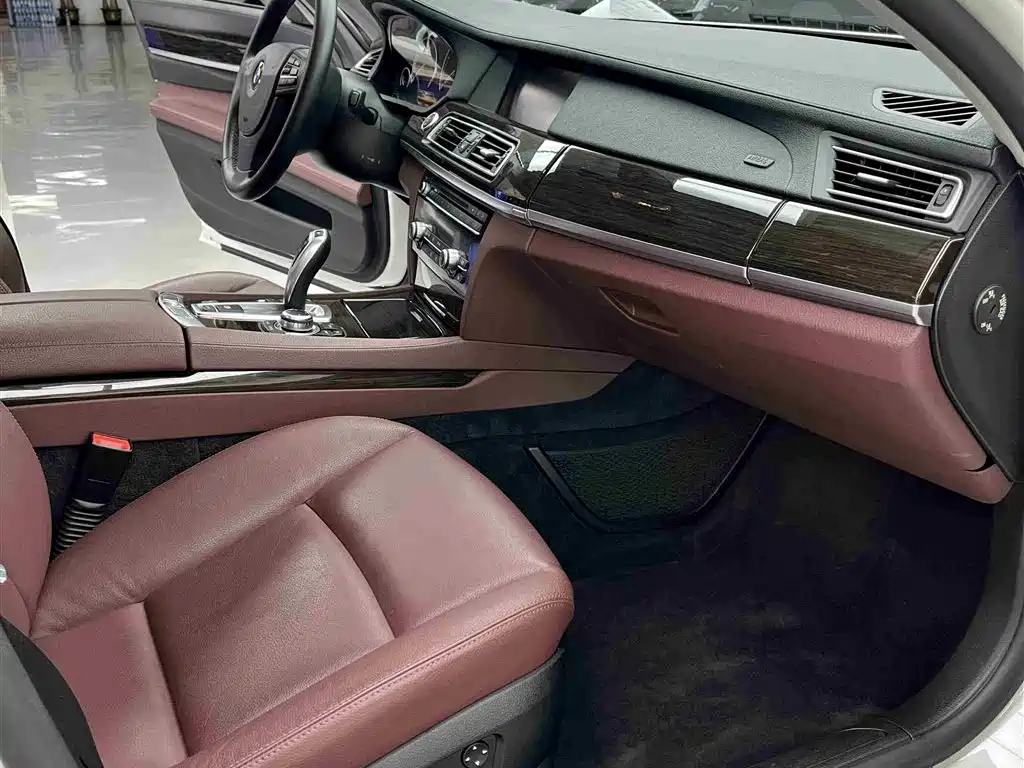 BMW 7 Series 2009 730Li Leading фото 11