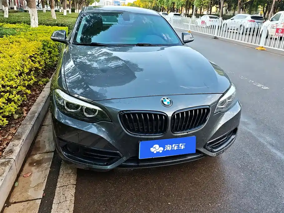 BMW 2 Series (Import) 2019 225i Sport Design Package фото 2