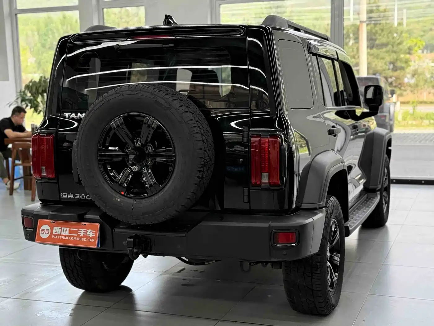 Tank 300 2021 Off-road Version 2.0T Conqueror фото 12