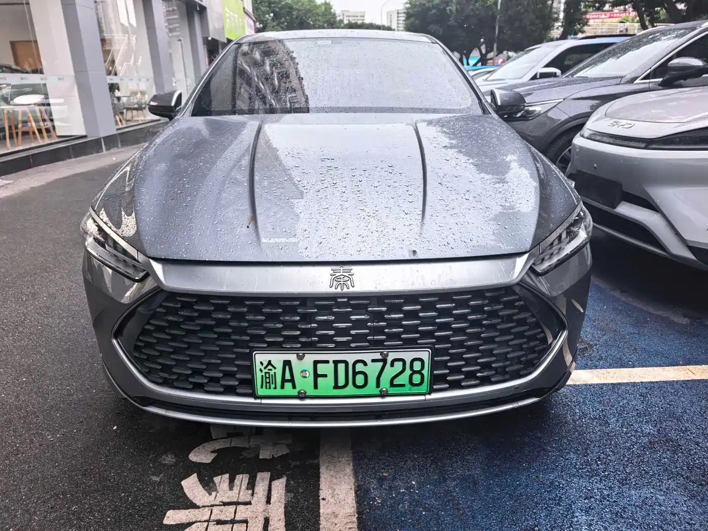 BYD Qin PLUS 2021 DM-i 55KM Flagship фото 2
