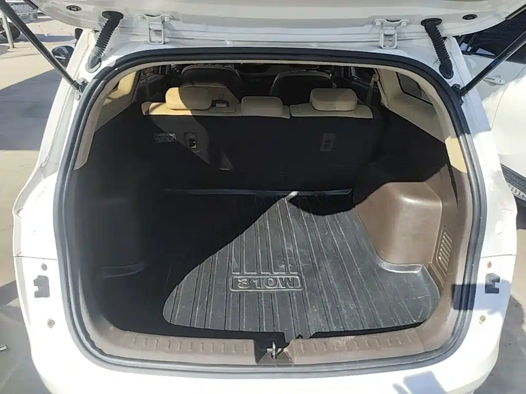 Baojun 310W 2020 2020 1.5L Auto Comfort Edition China VI