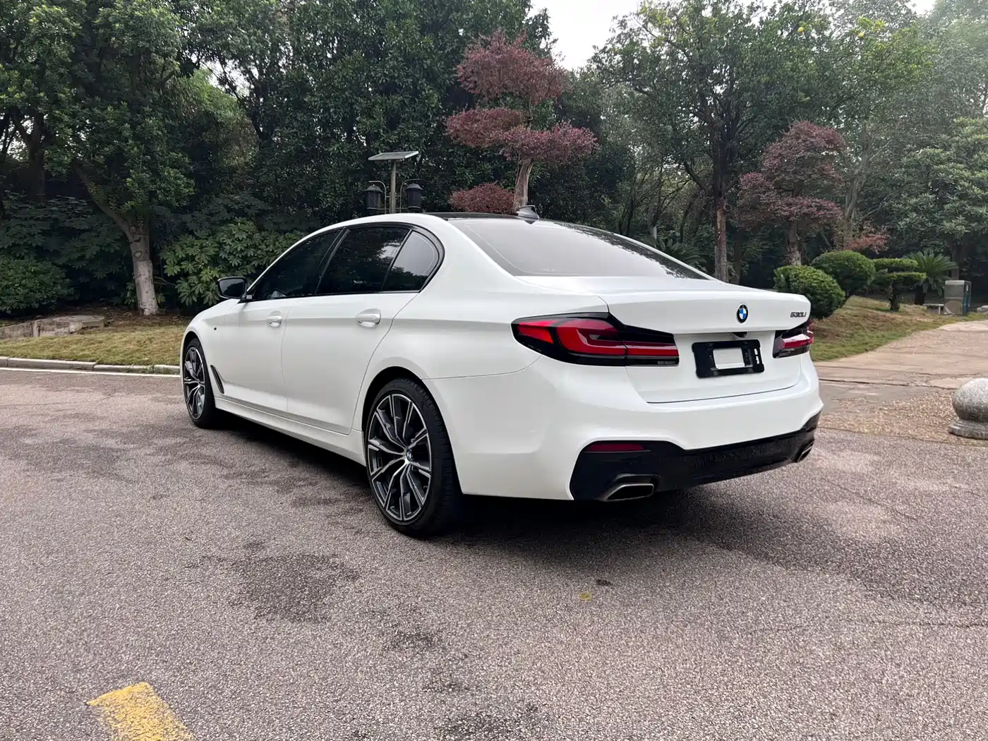 BMW 5 Series 2019 530Li Premium Luxury Package фото 9