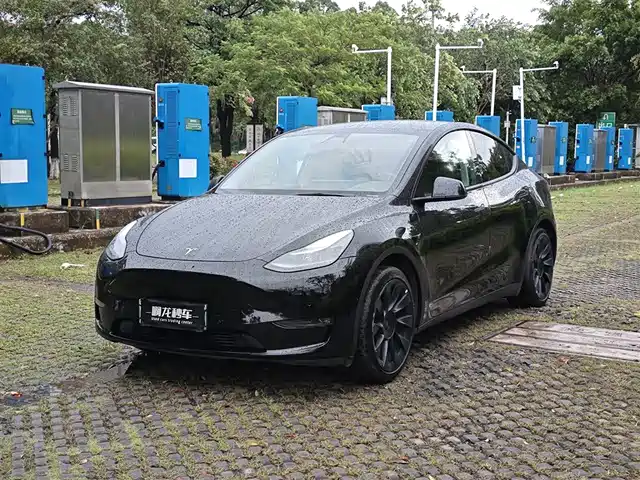 Tesla Model Y 2021