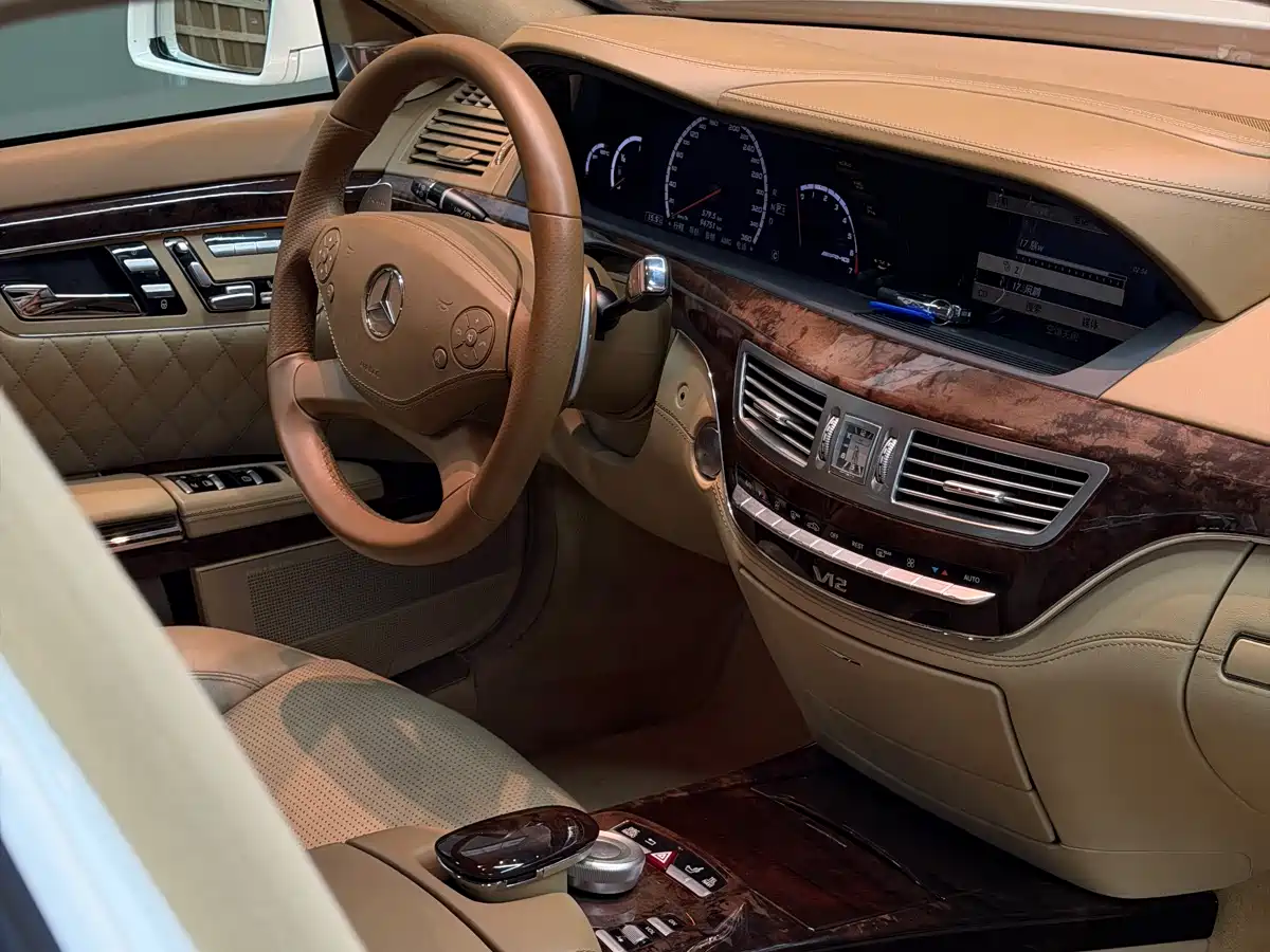 Mercedes-Benz S-Class AMG 2010 AMG S 65 фото 8