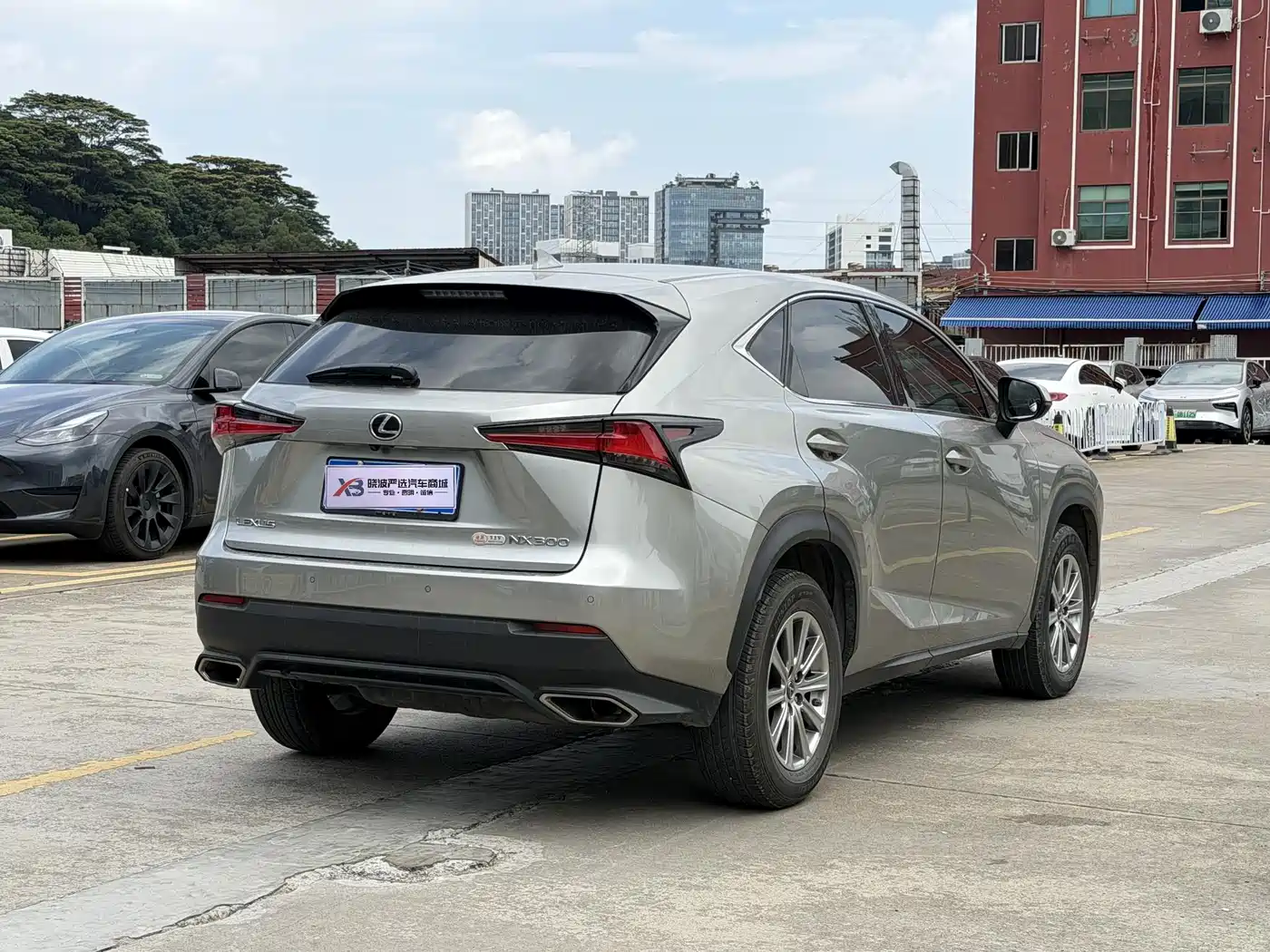 Lexus NX 2020 300 FWD F Line China V фото 7