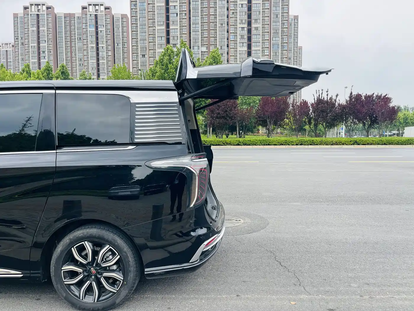 Hongqi HQ9 2023 2.0T Smart Connect Flag Enjoy Edition фото 25