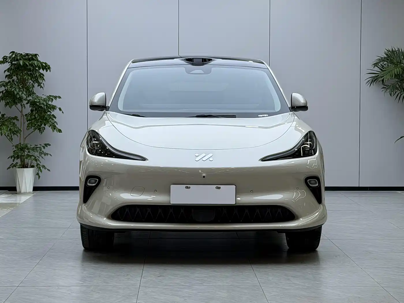 IM Motors IM LS6 2025 Long Range Gecko Smart Drive Edition фото 2