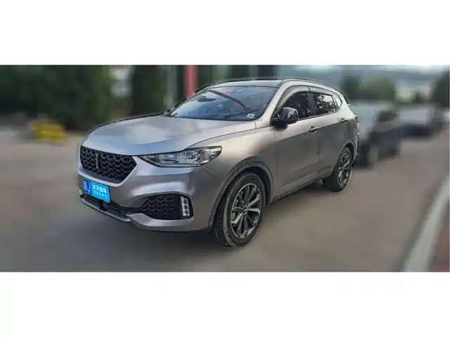 WEY VV6 2019