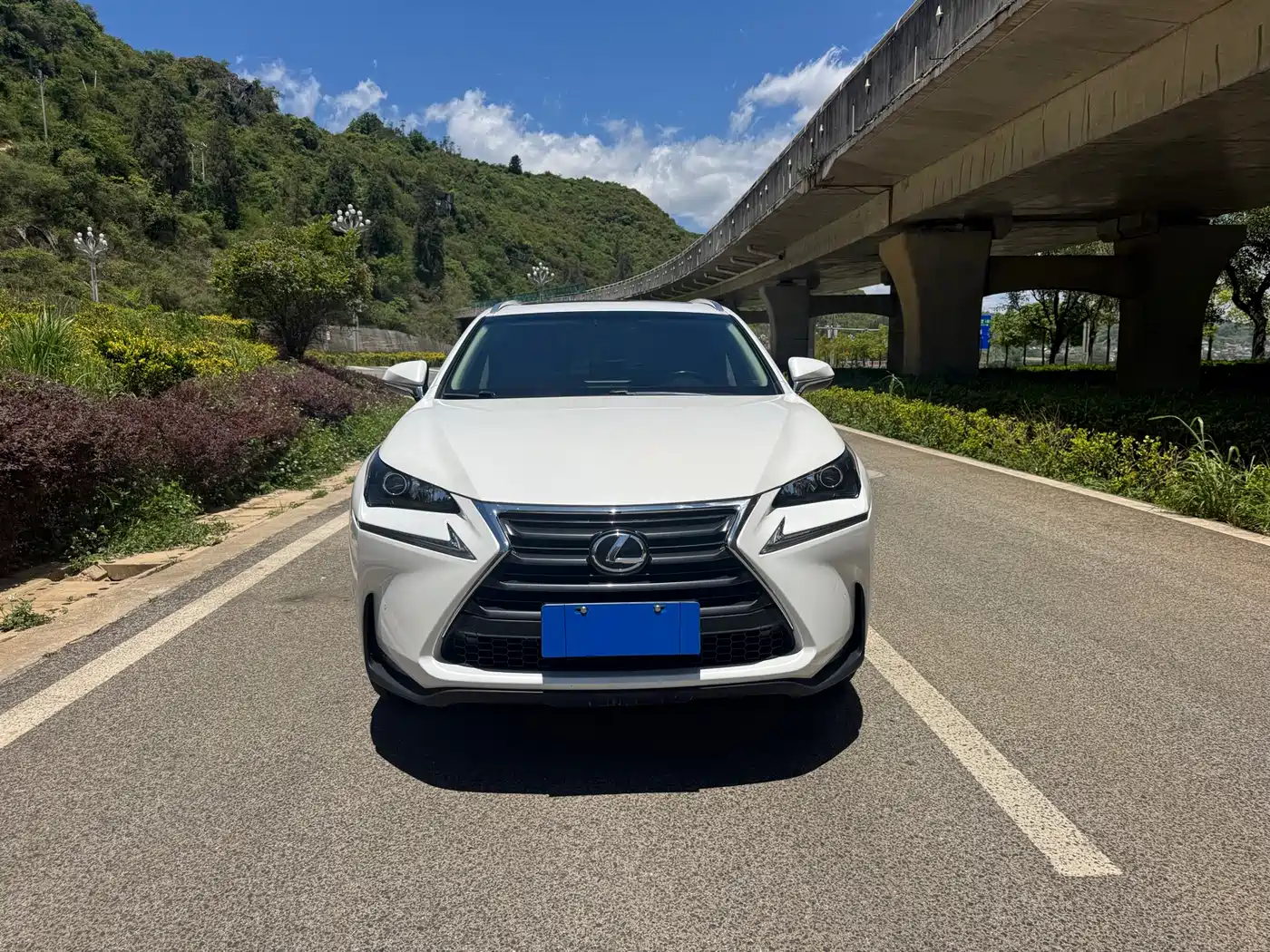 Lexus NX 2015 200t AWD F Sport фото 9
