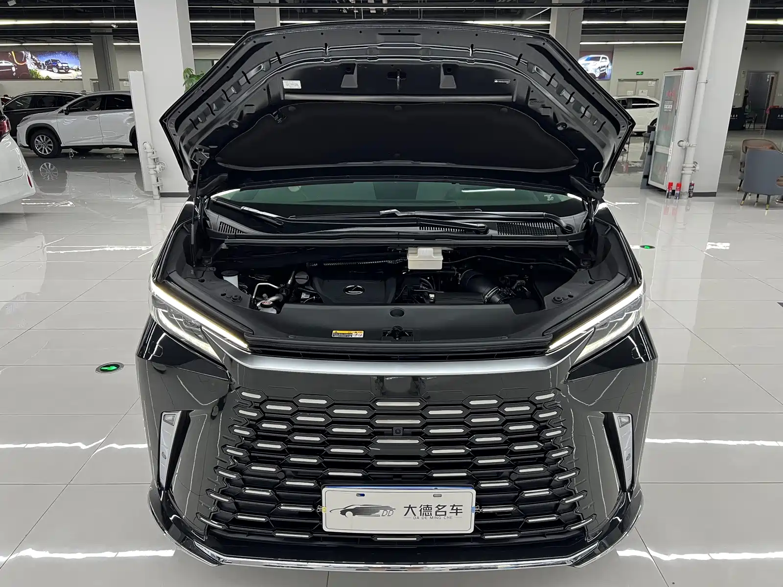 Фото 26 - Lexus LM