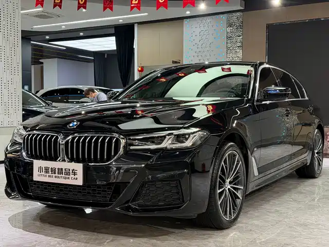 BMW 5 SERIES