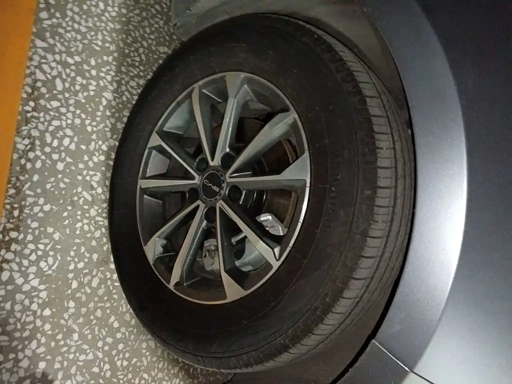 BYD Destroyer 05 2024 2023 Champion Edition DM-i 55KM Luxury