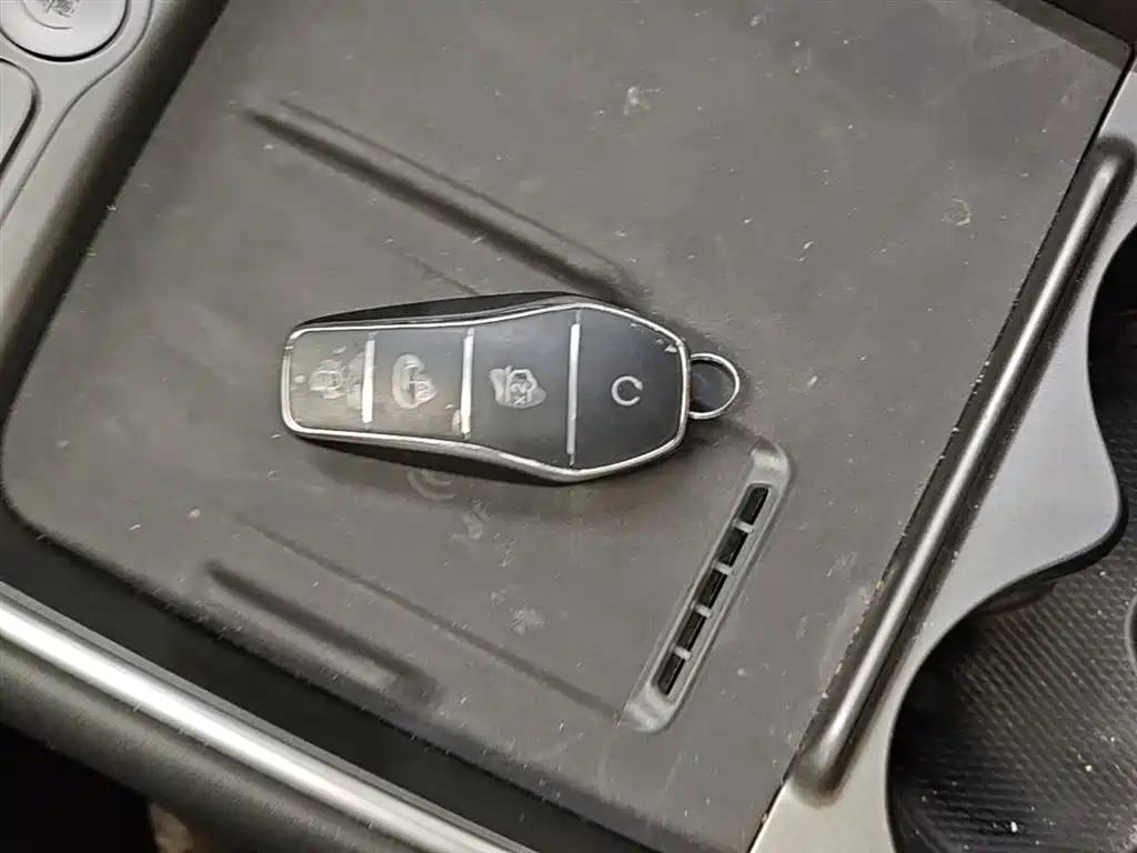 BYD Hai Shi 05 EV 2025 520KM Smart Navigation Edition фото 9