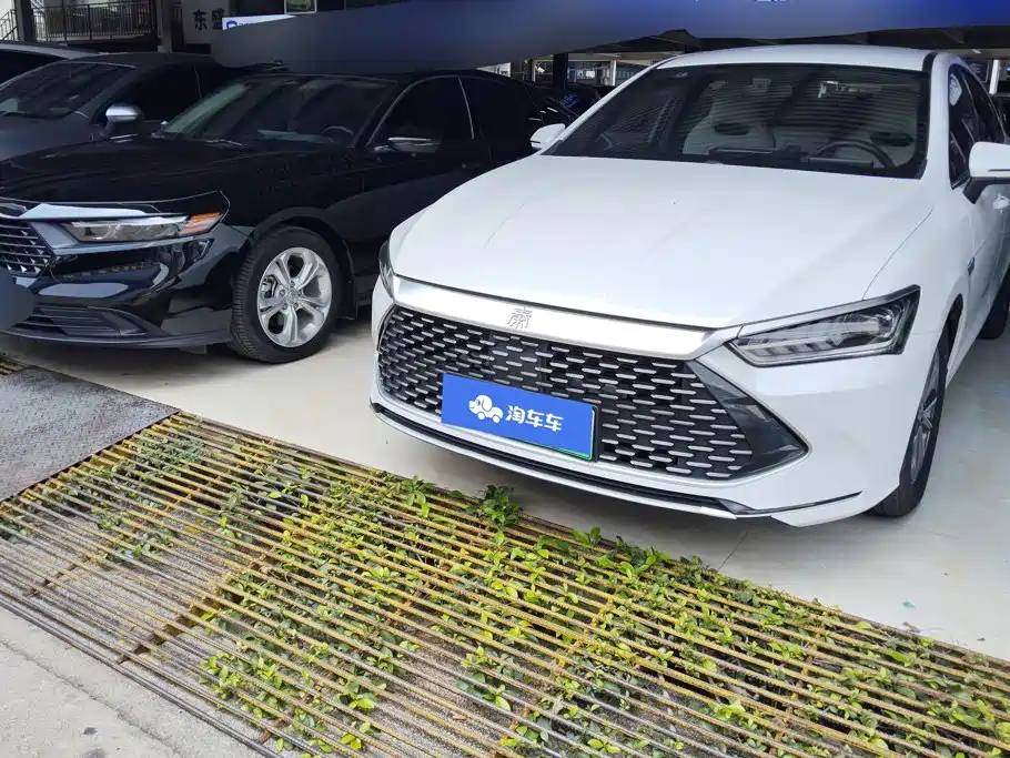 BYD Qin PLUS 2024 Glory Edition DM-i 55KM Leading