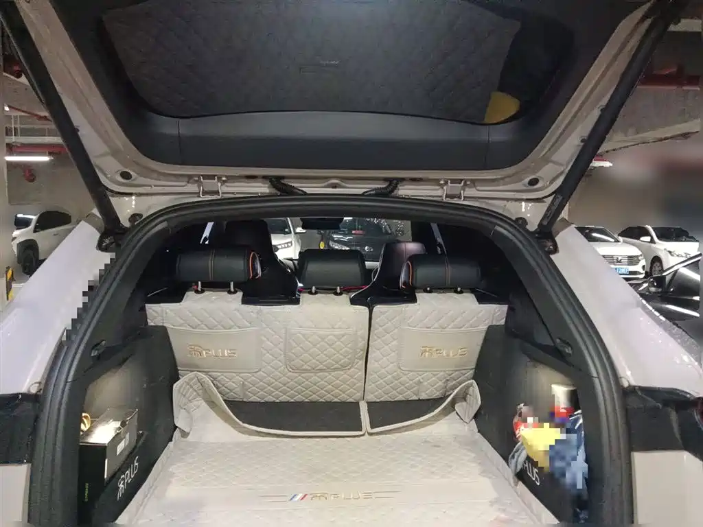 BYD Song PLUS PHEV 2023 Champion Edition DM-i 150KM Flagship PLUS фото 16