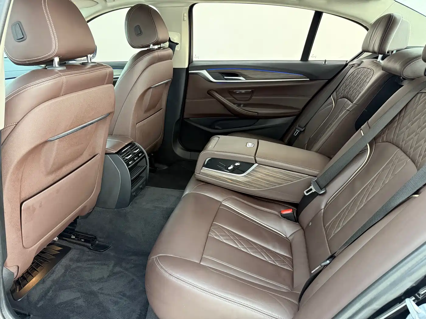 BMW 5 Series 2019 530Li Leading Luxury Package фото 9