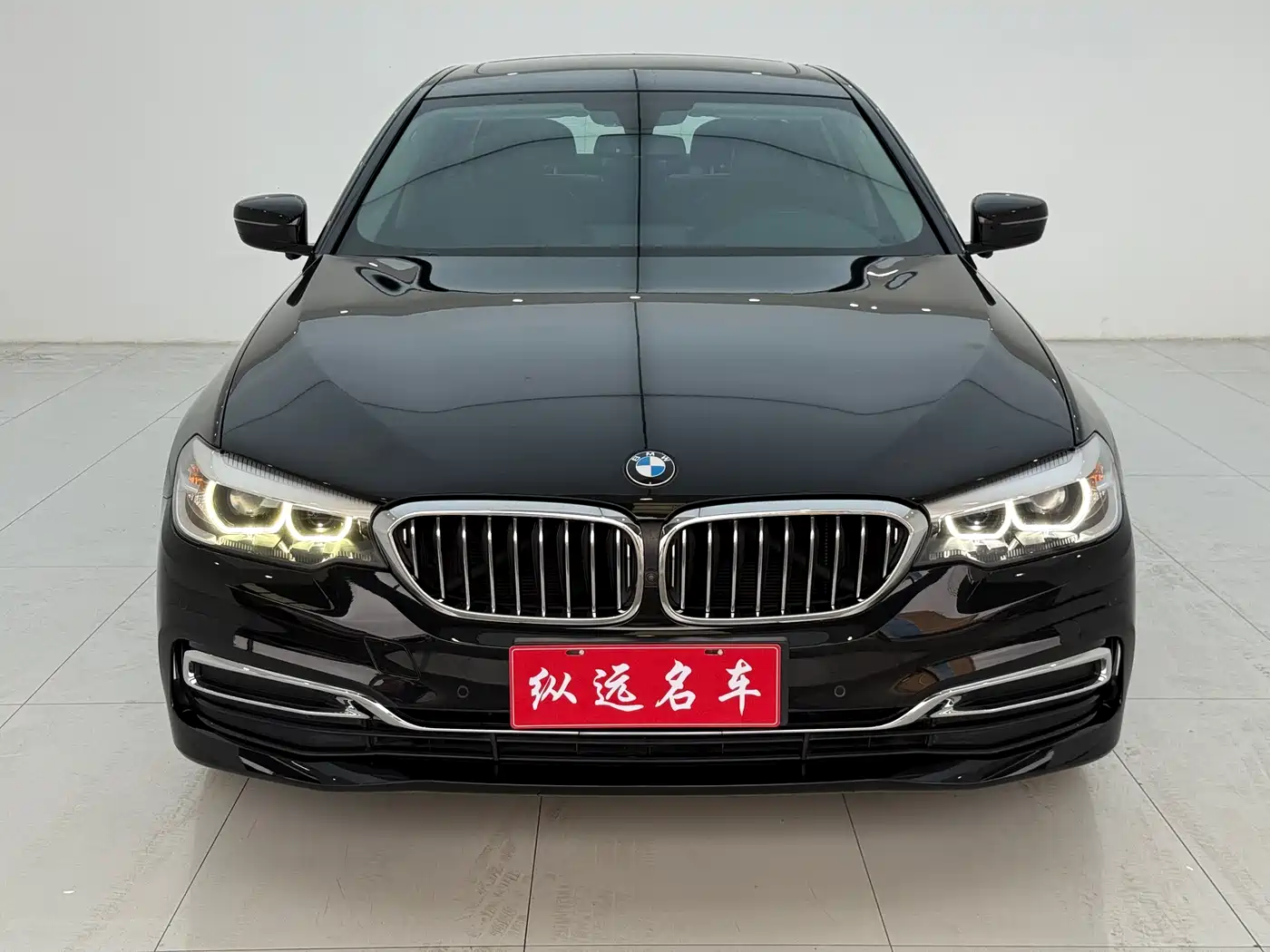 BMW 5 Series 2019 530Li Leading Luxury Package фото 2