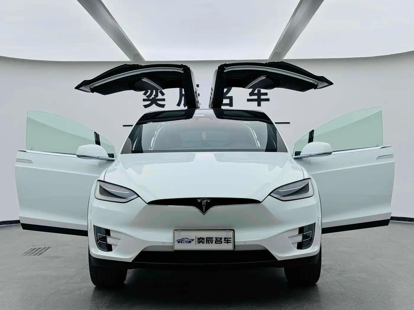 TESLA MODEL X