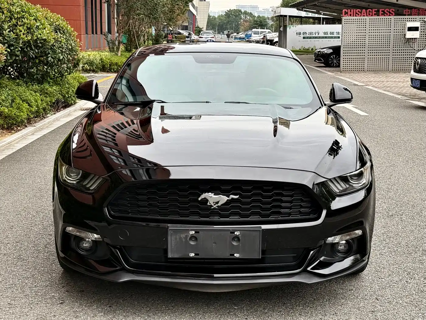 Ford Mustang 2017 2.3T Performance Edition фото 2