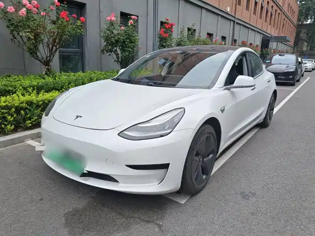 Tesla Model 3 (Import) 2019