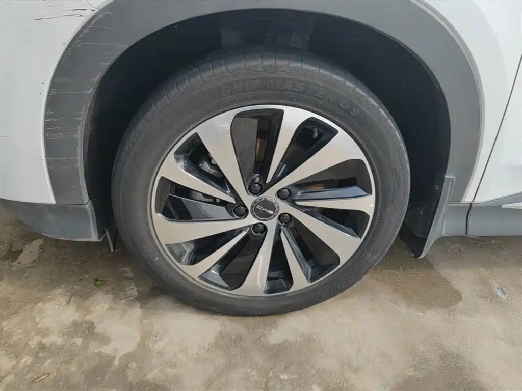 BYD Song PLUS PHEV 2023 Champion Edition DM-i 110KM Flagship фото 23