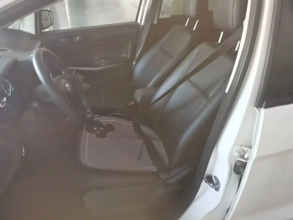 Photo 15 - Ford EcoSport