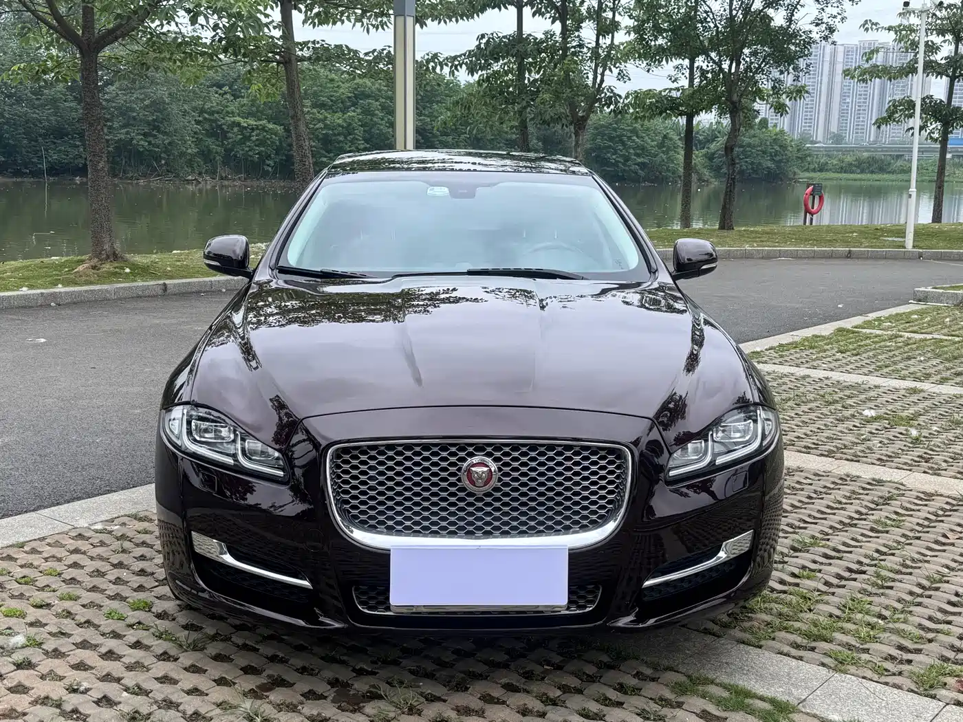 Jaguar XJ 2016 2016 XJL 2.0T 2WD Elegance Business Edition