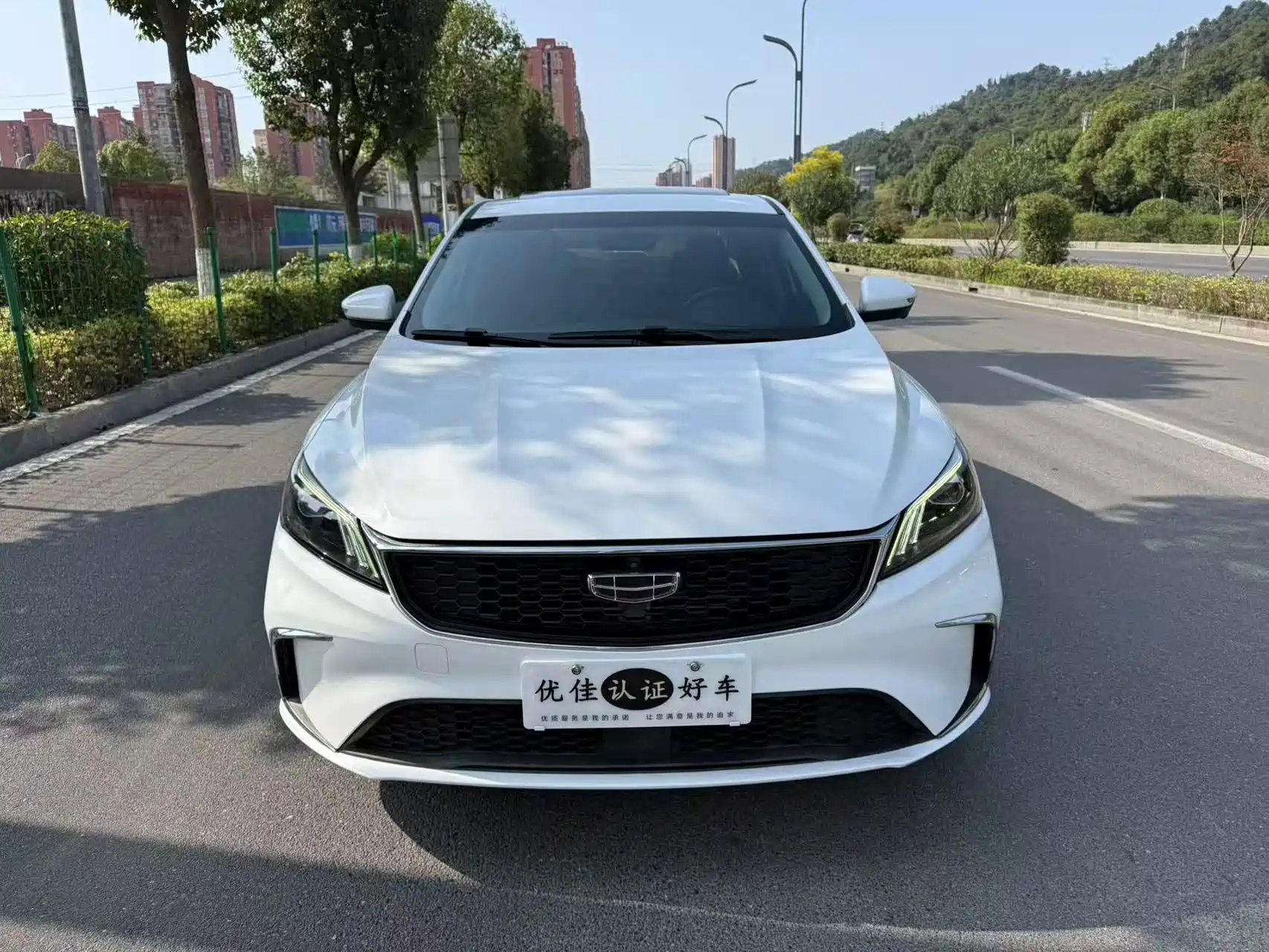 Фото 2 - Geely Binrui