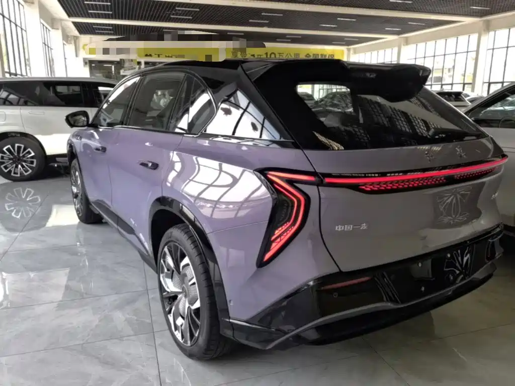 2025 Hongqi Tian Gong 08