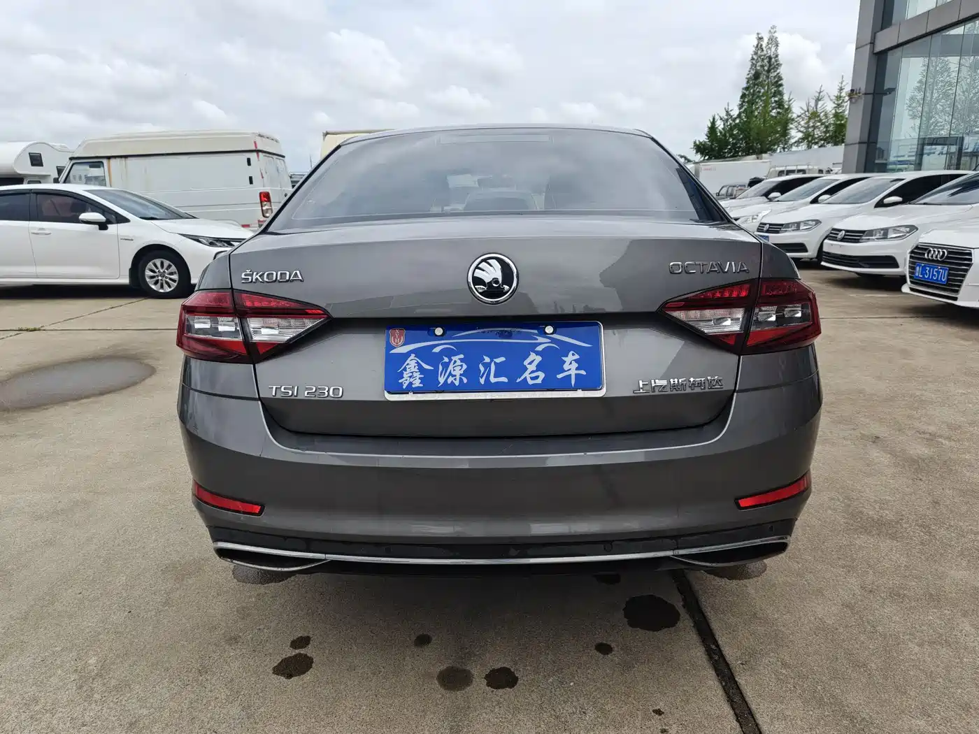 Škoda Octavia 2019 TSI230 DSG Luxury Edition фото 3