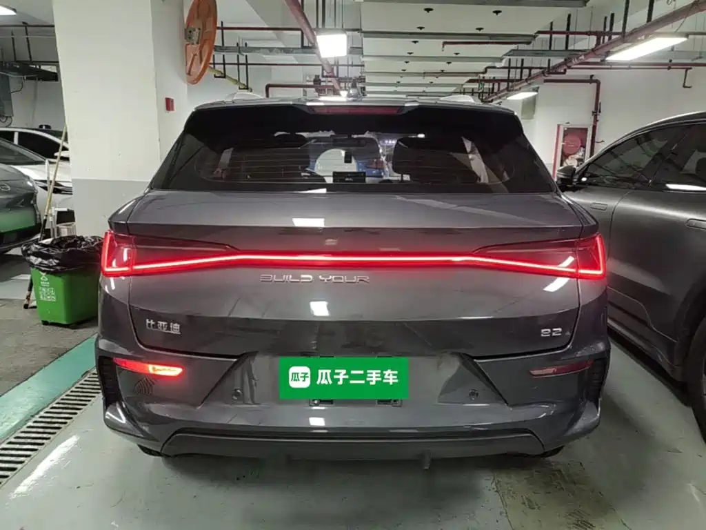 BYD e2 2021 2020 Upgraded Long Range Luxury