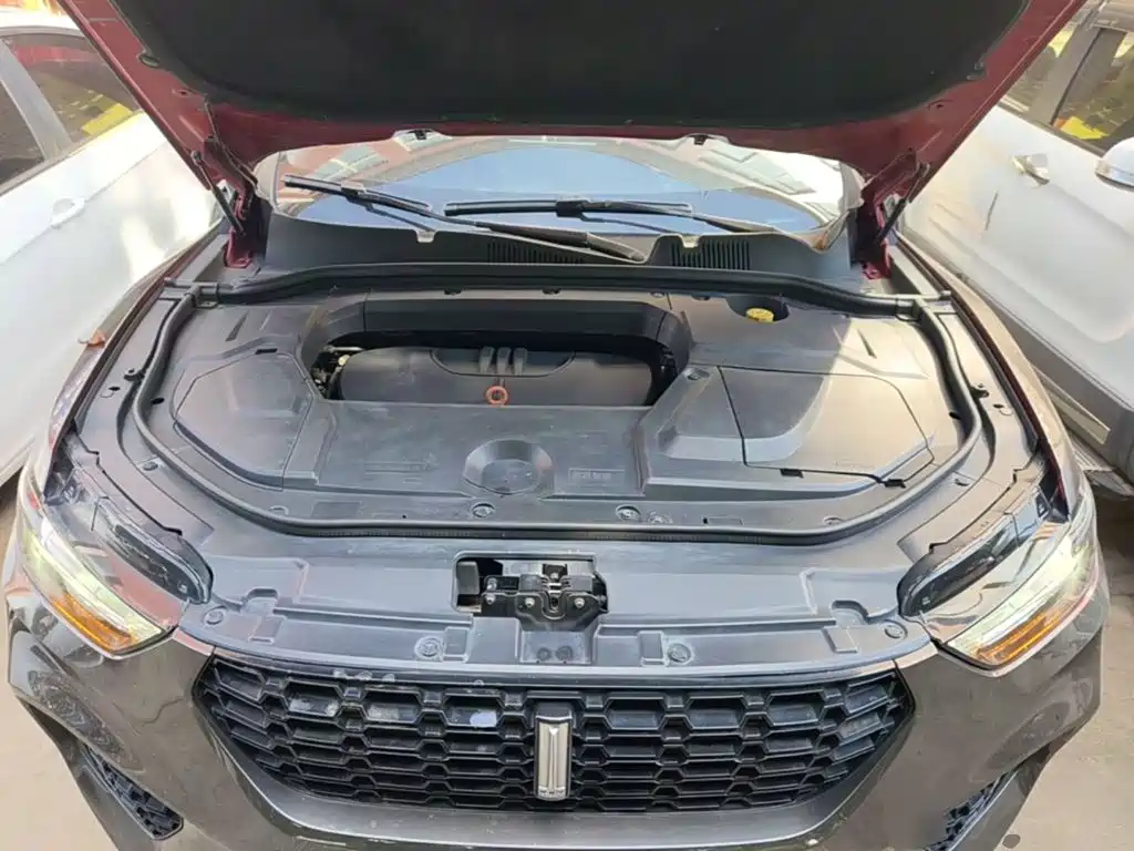 WEY VV5 2019 2019 1.5T 2WD Smart Pioneer