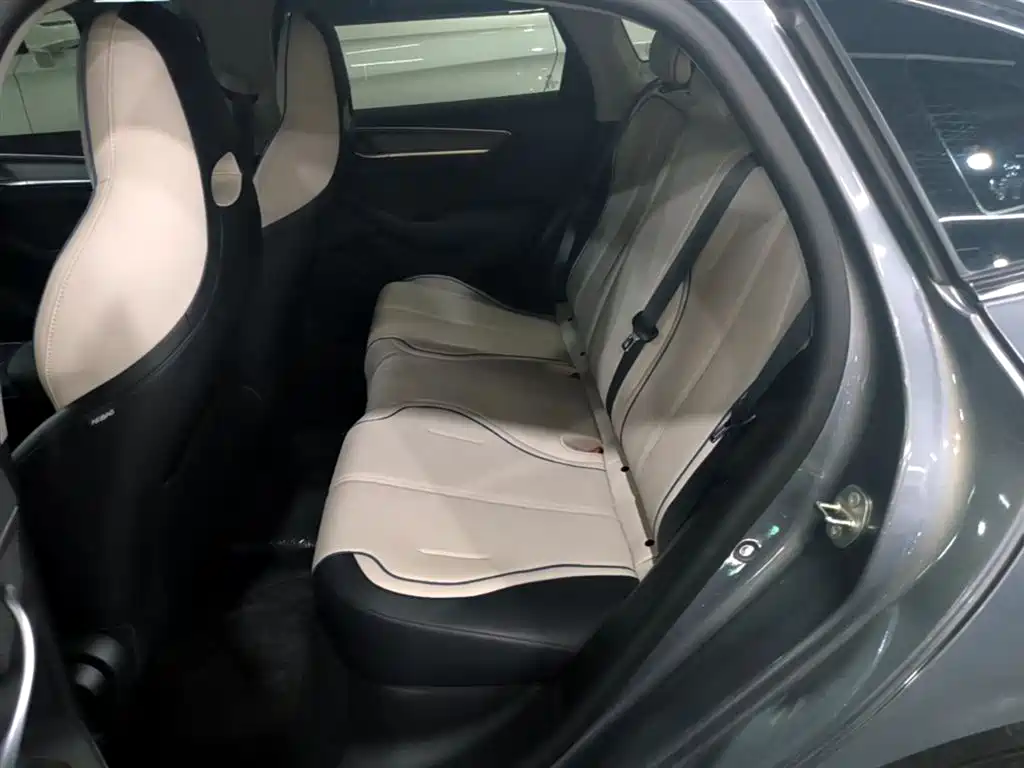 BYD Destroyer 05 2024 Glory Edition DM-i 55KM Luxury фото 17