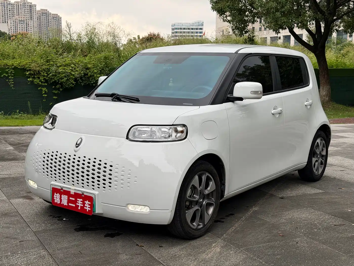 2022 Ora White Cat