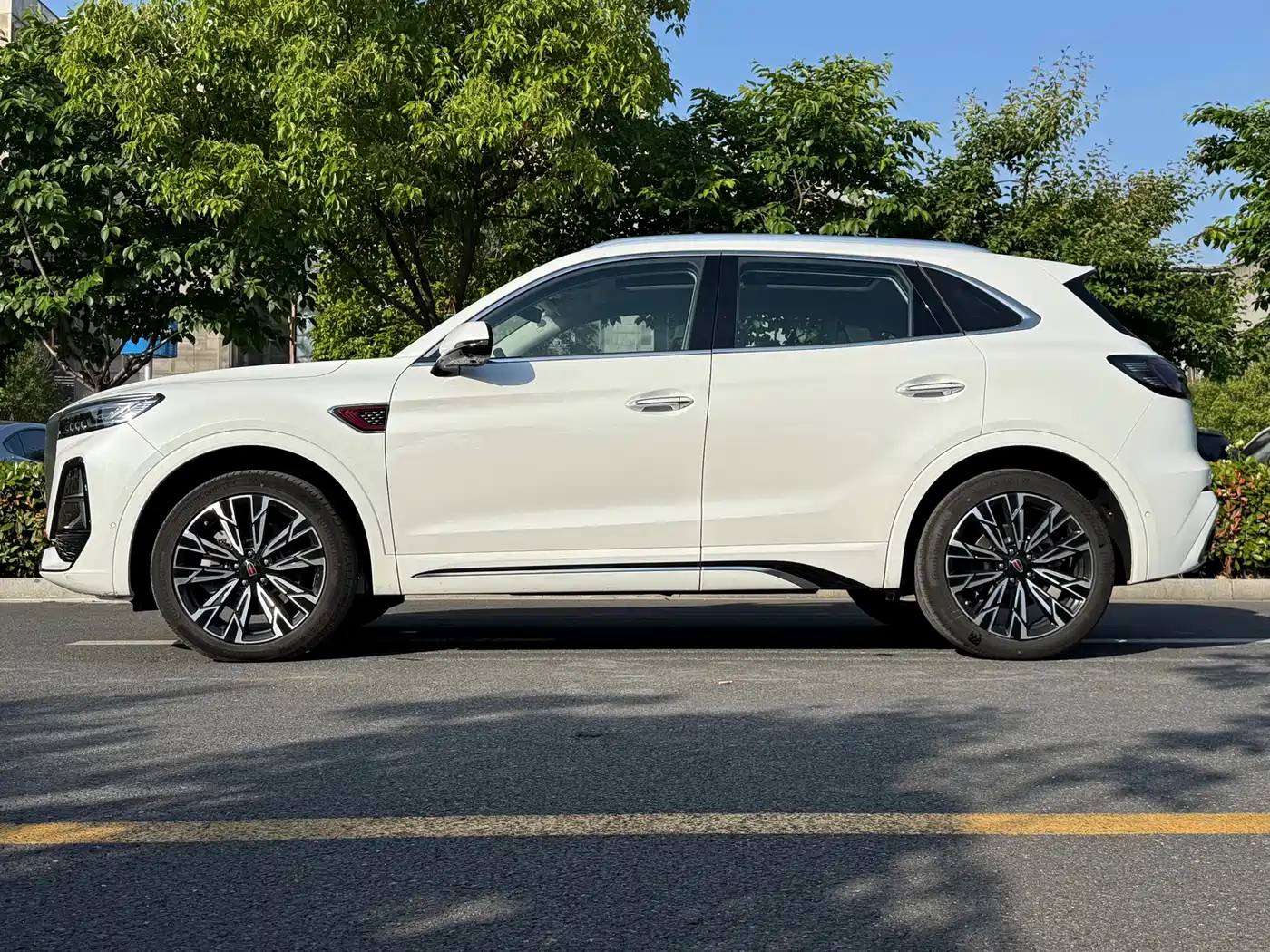 Hongqi HS5 2023 2.0T Flag Leader Pro Edition фото 5