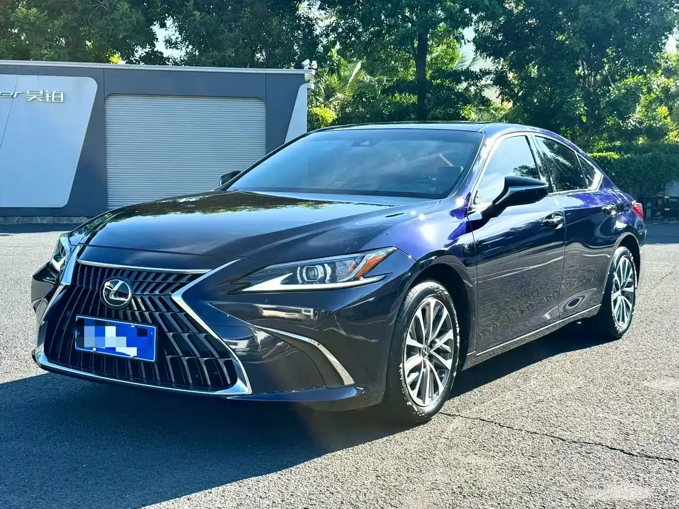 Lexus Lexus ES 2023 200 Excellence Edition
