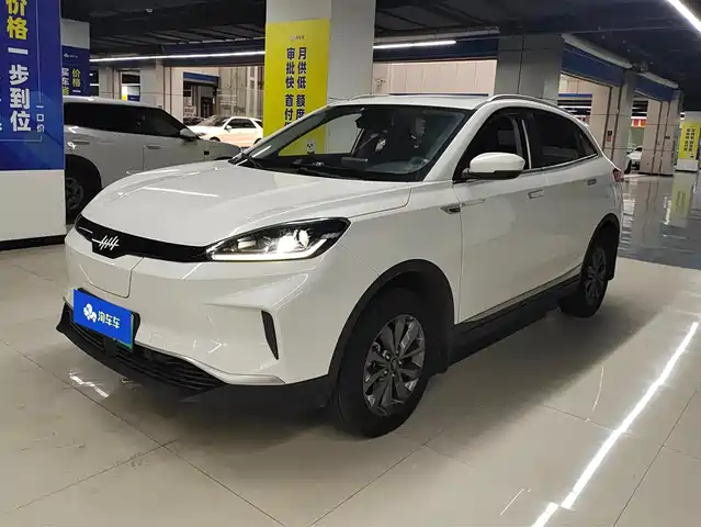 WEIMA AUTOMOBILE WEIMA EX5 2021