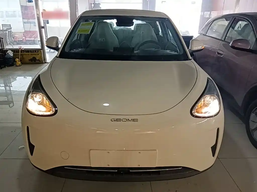 Geely Galaxy Starry Wish 2026 Edition 310km Youth Version фото 3