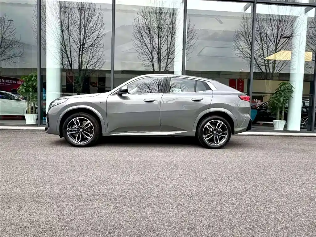 BMW X2 (Import) 2024 sDrive25i M Sport Package фото 5