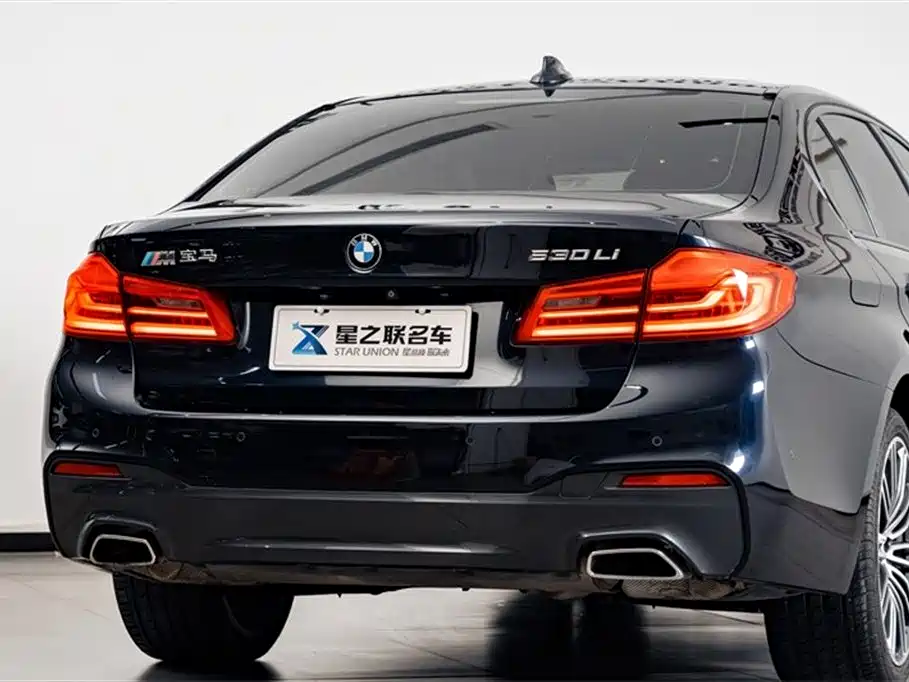 BMW 5 Series 2019 530Li Leading M Sport Package фото 8