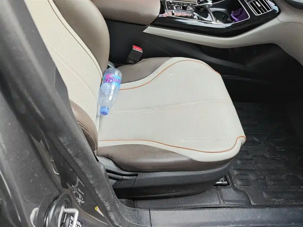 BYD Qin PLUS 2023 Champion Edition DM-i 120KM Excellence фото 25