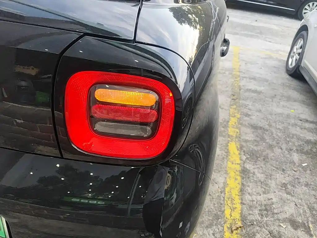 Ora Black Cat 2021 2021 351km Luxury Model