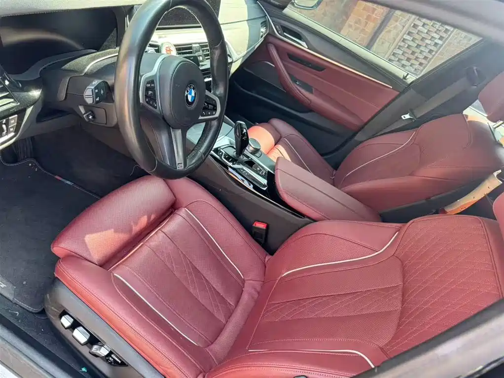 BMW 5 Series 2021 530Li Premium M Sport Package фото 12