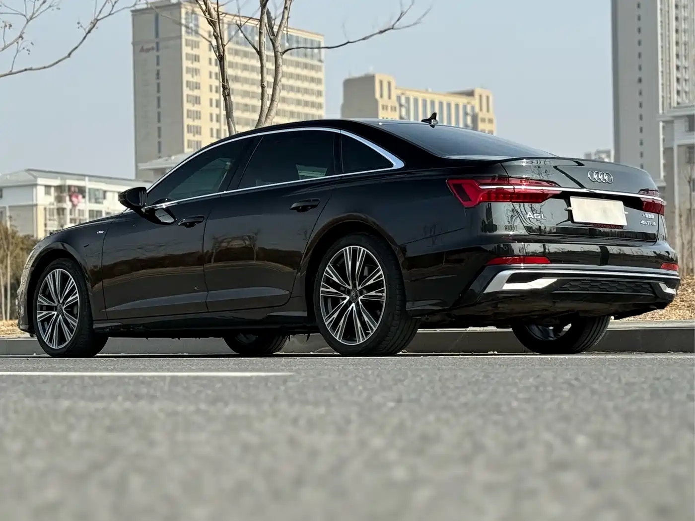Audi A6L 2023 Facelift 40 TFSI Luxury Dynamic фото 15
