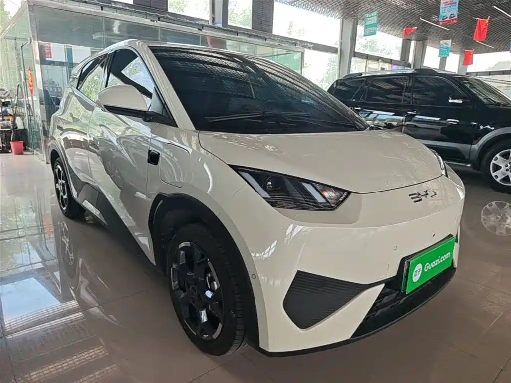 BYD Seagull 2025 Smart Drive Edition 305km Freedom Version фото 22